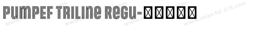 PumpEF Triline Regu字体转换